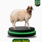 خروف جزيزي